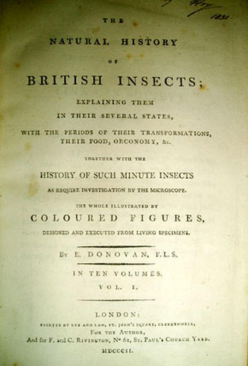 Title page Natural History of British Insects 17921813