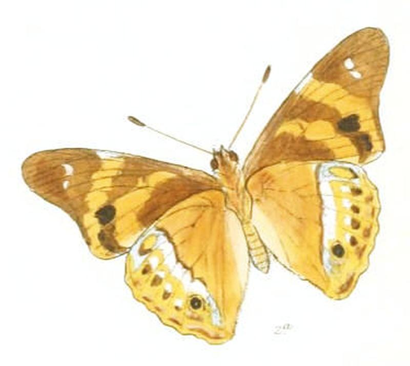 DraviraUlupi193 2a