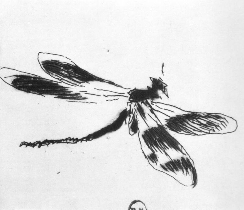 Edouard Manet - Dragonfly