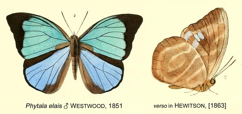 ElaisWestwood1851OD Hew1863
