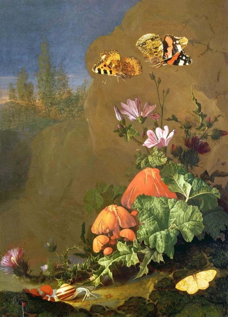 Rocky Floor with Flowers, Mushrooms, Butterflies, a Snail and a Thistle label QS:Len,"Rocky Floor with Flowers, Mushrooms, Butterflies, a Snail and a Thistle "