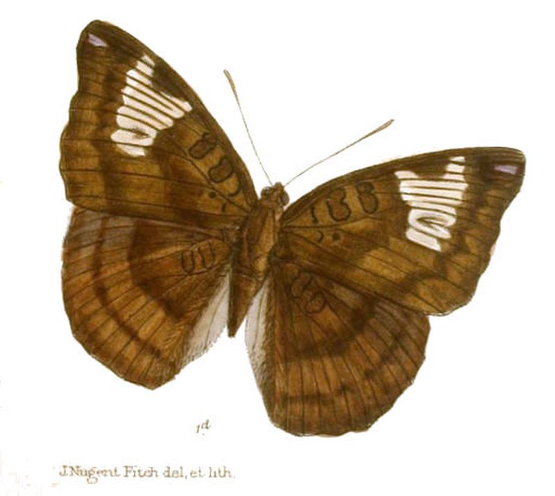 EuthaliaJama237 1d