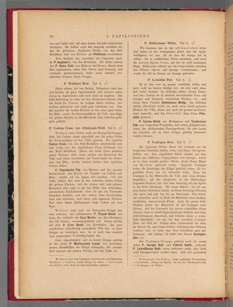 Exotische schmetterlinge (Page 10) BHL40070365