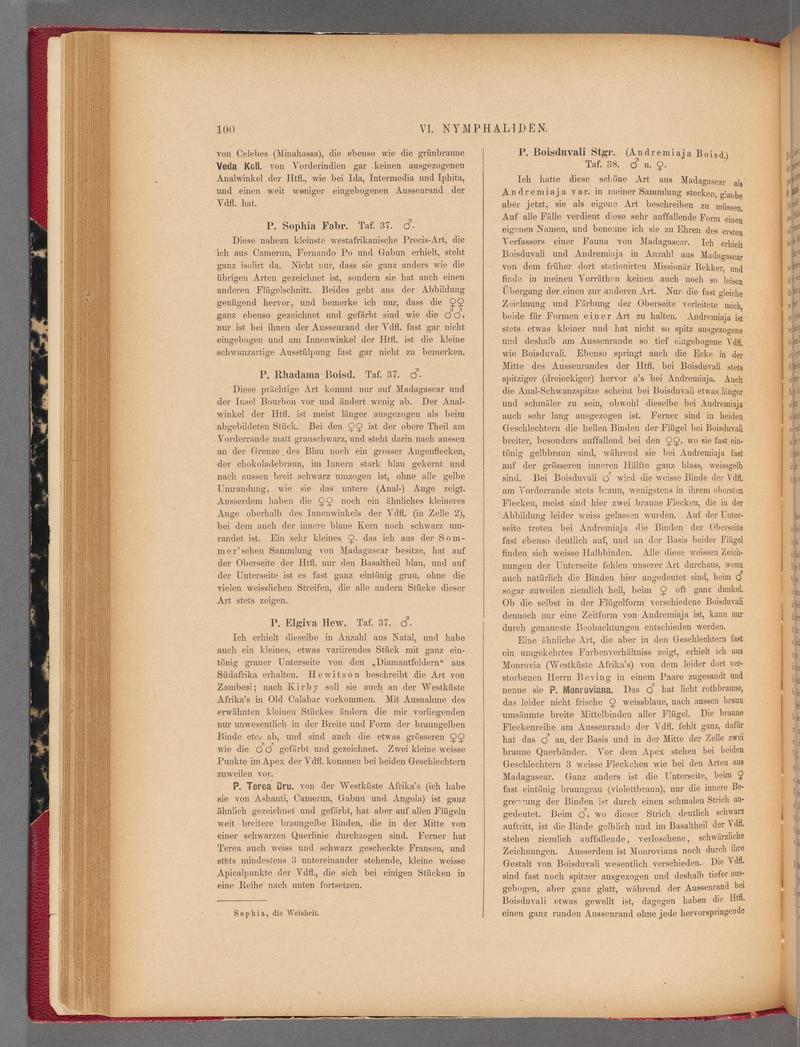 Exotische schmetterlinge (Page 100) BHL40070455
