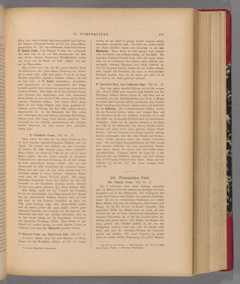 Exotische schmetterlinge (Page 101) BHL40070456