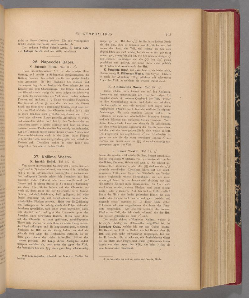 Exotische schmetterlinge (Page 103) BHL40070458