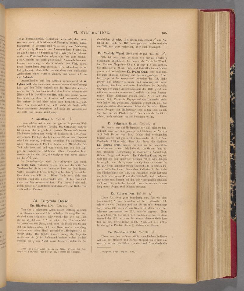 Exotische schmetterlinge (Page 105) BHL40070460