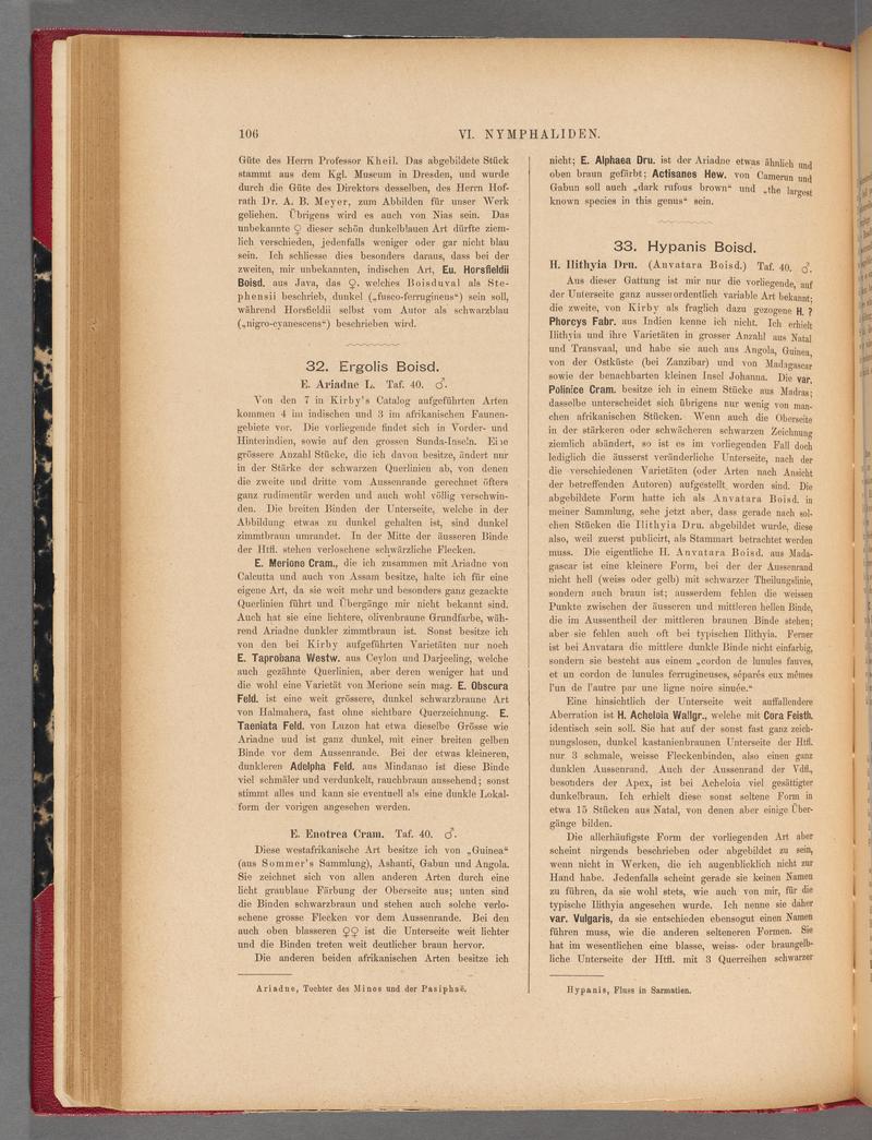 Exotische schmetterlinge (Page 106) BHL40070461
