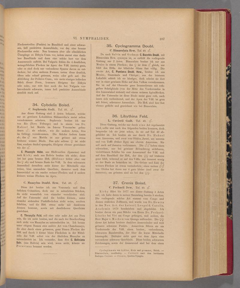 Exotische schmetterlinge (Page 107) BHL40070462