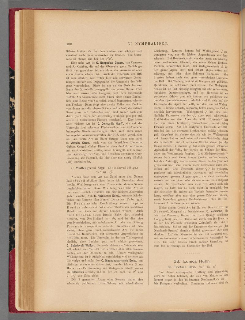 Exotische schmetterlinge (Page 108) BHL40070463