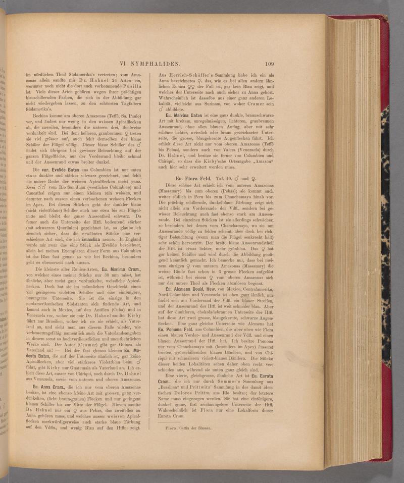 Exotische schmetterlinge (Page 109) BHL40070464