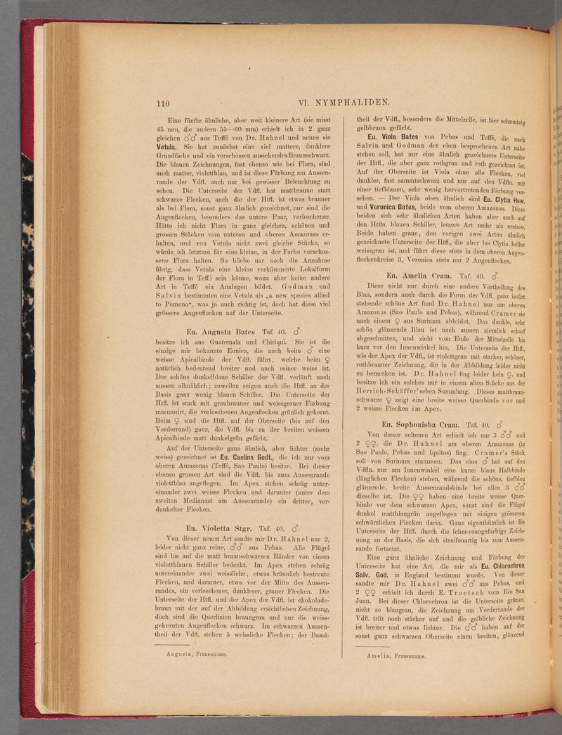 Exotische schmetterlinge (Page 110) BHL40070465