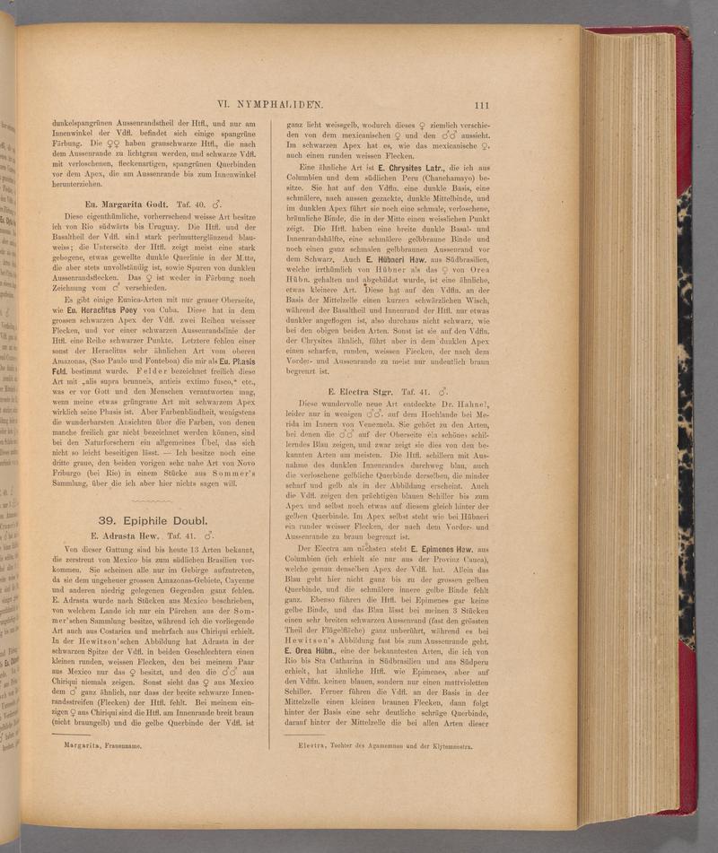 Exotische schmetterlinge (Page 111) BHL40070466