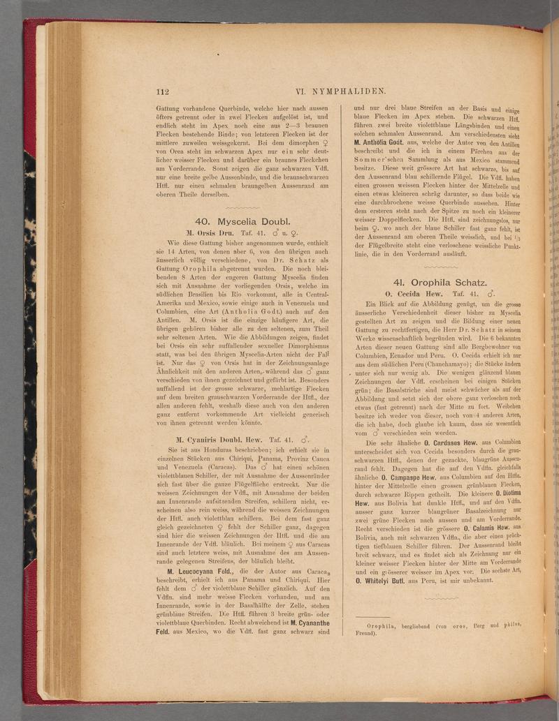 Exotische schmetterlinge (Page 112) BHL40070467