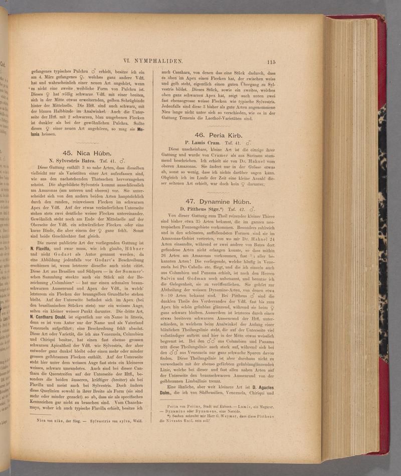 Exotische schmetterlinge (Page 115) BHL40070470