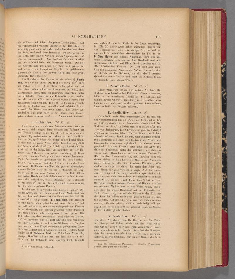 Exotische schmetterlinge (Page 117) BHL40070472