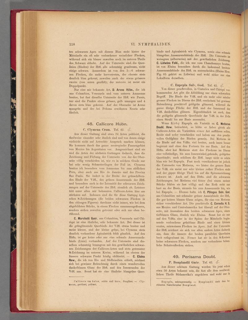Exotische schmetterlinge (Page 118) BHL40070473
