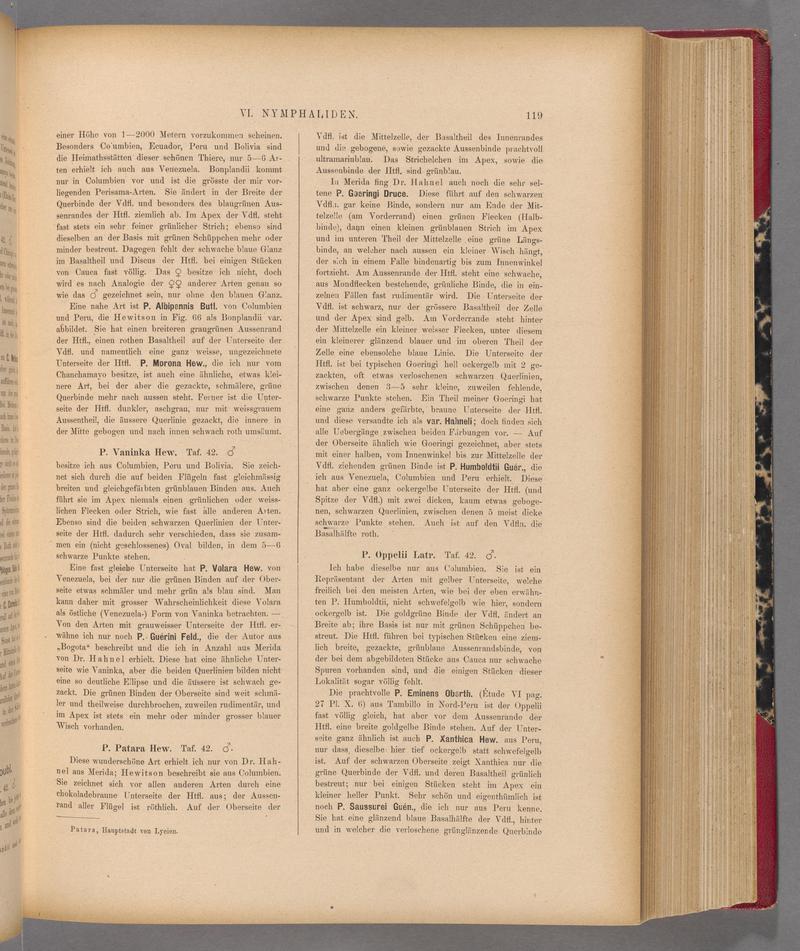 Exotische schmetterlinge (Page 119) BHL40070474