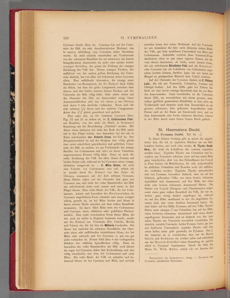 Exotische schmetterlinge (Page 122) BHL40070477
