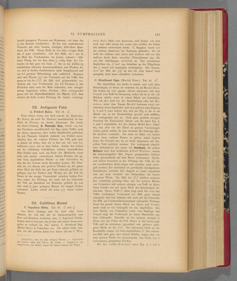 Exotische schmetterlinge (Page 123) BHL40070478