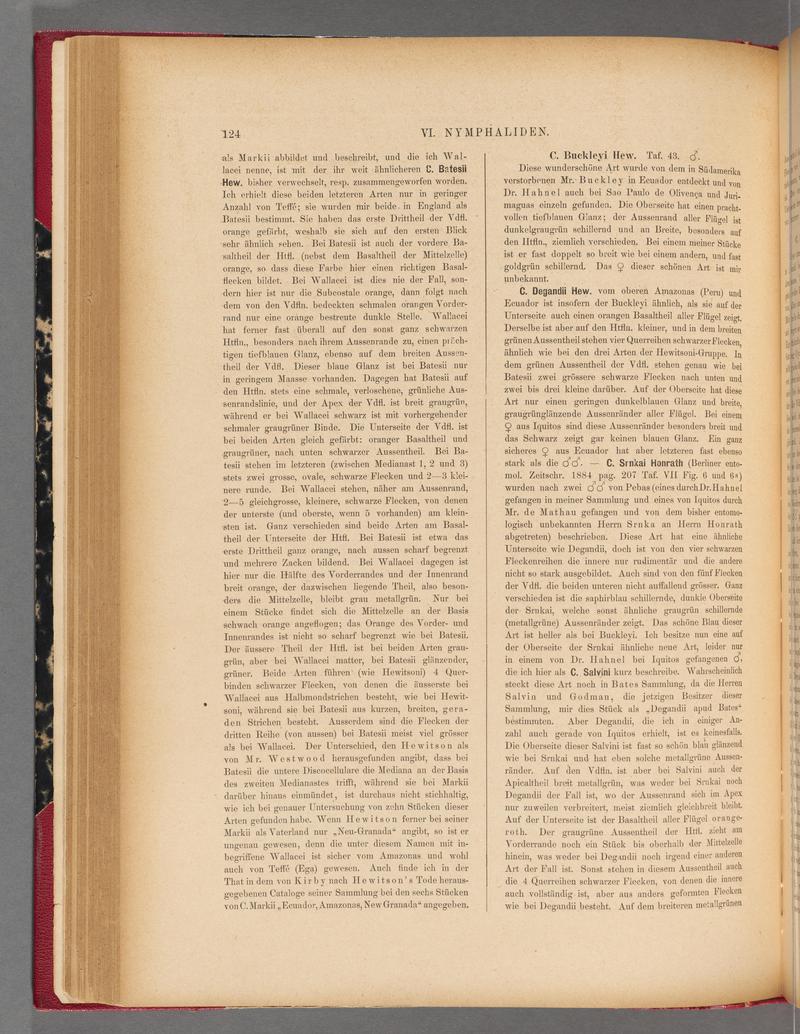 Exotische schmetterlinge (Page 124) BHL40070479