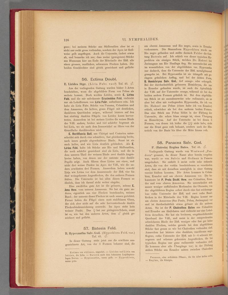 Exotische schmetterlinge (Page 126) BHL40070481