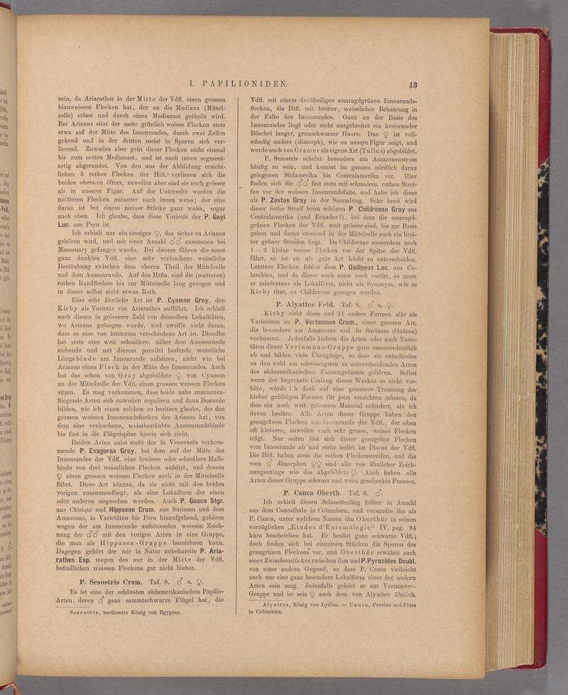 Exotische schmetterlinge (Page 13) BHL40070368