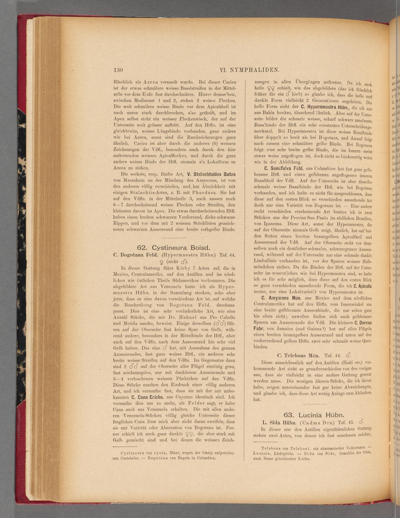 Exotische schmetterlinge (Page 130) BHL40070485