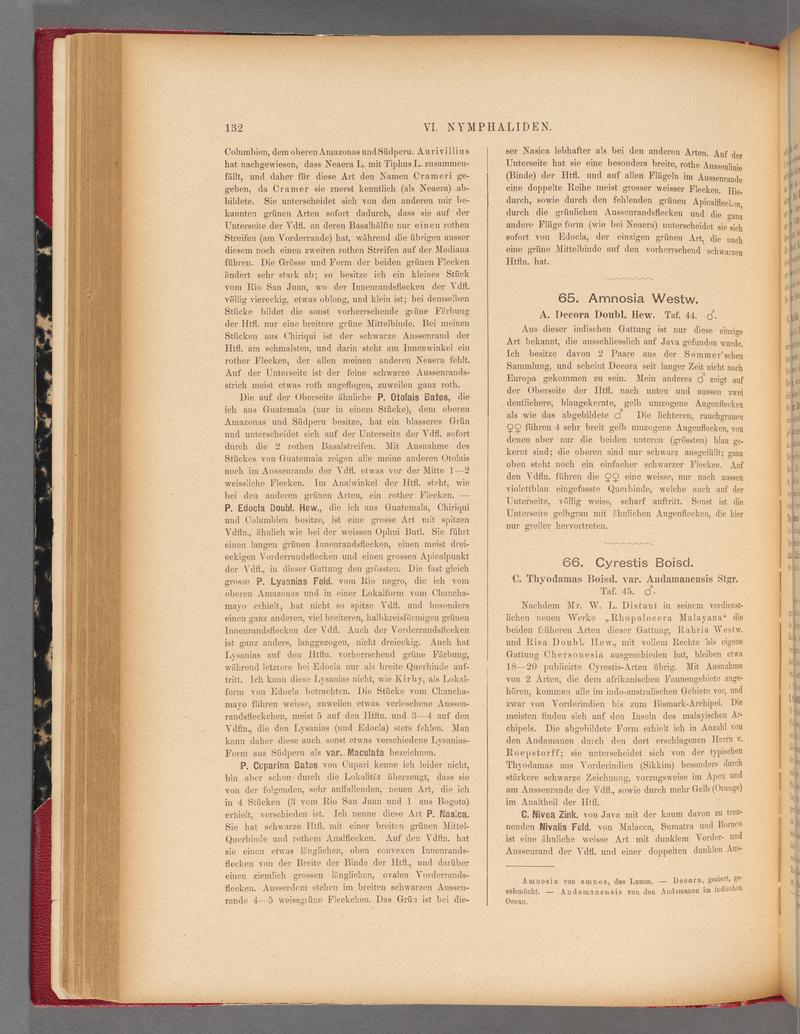 Exotische schmetterlinge (Page 132) BHL40070487