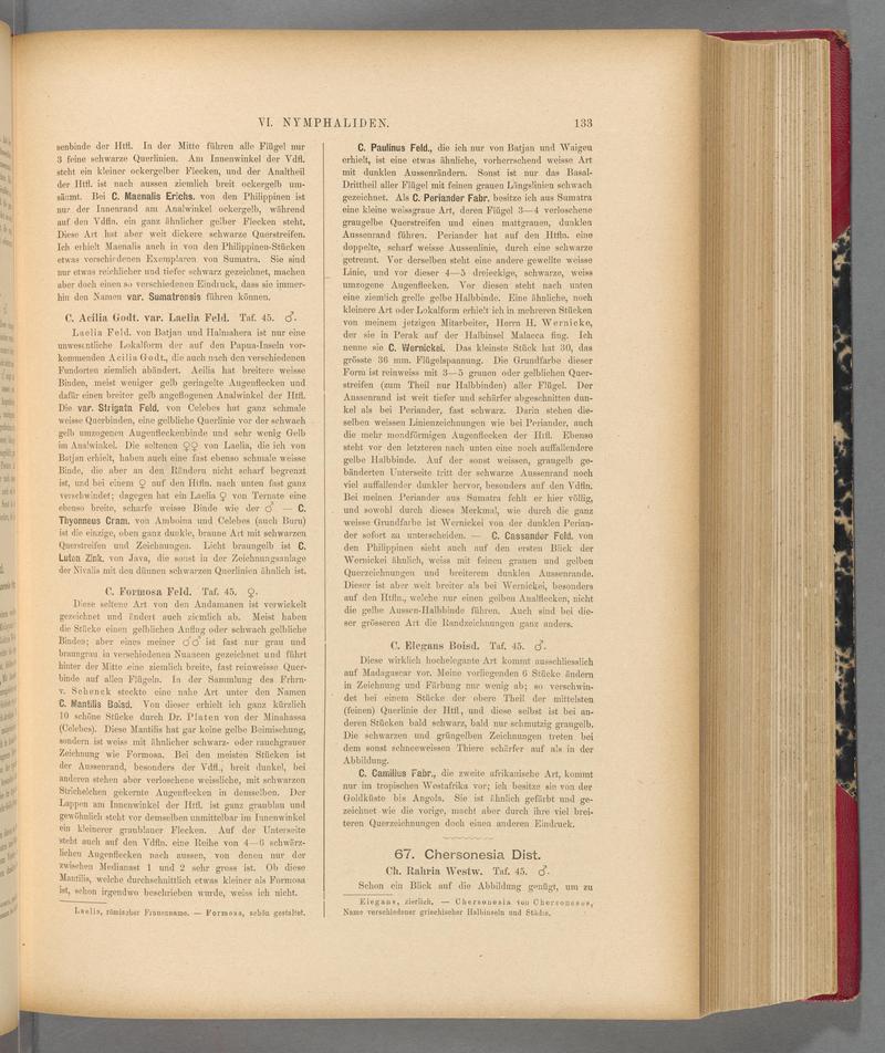 Exotische schmetterlinge (Page 133) BHL40070488