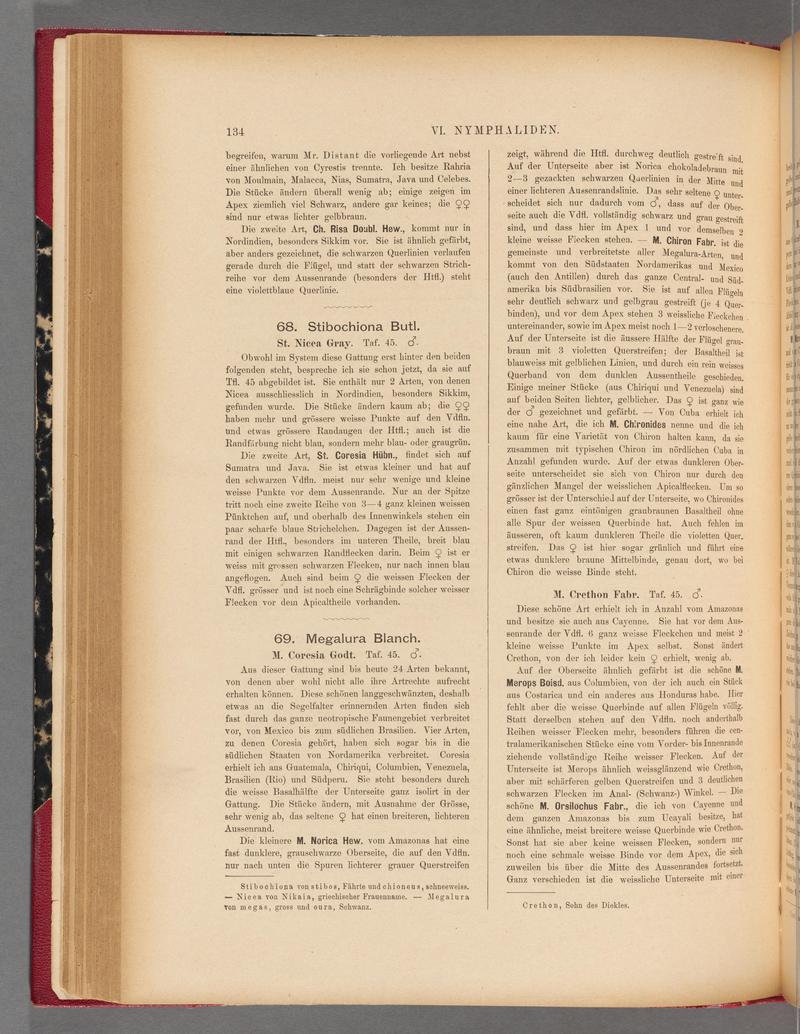 Exotische schmetterlinge (Page 134) BHL40070489