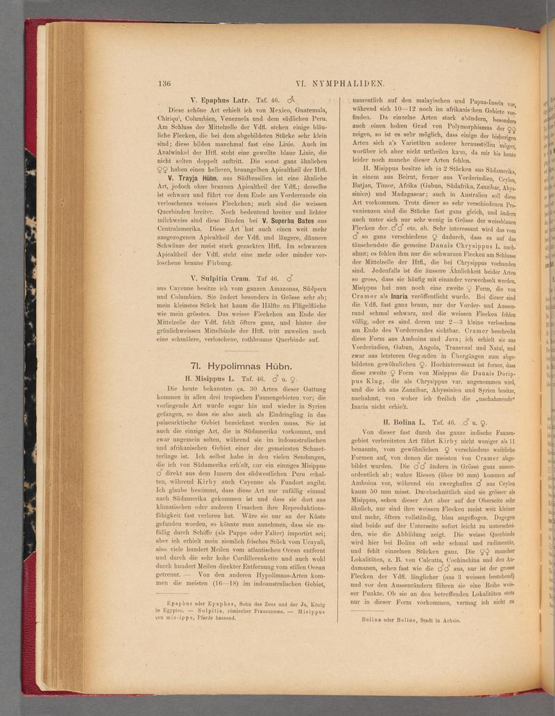 Exotische schmetterlinge (Page 136) BHL40070491