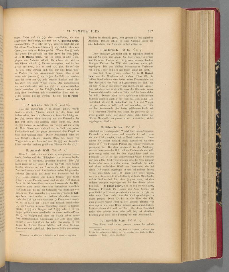 Exotische schmetterlinge (Page 137) BHL40070492