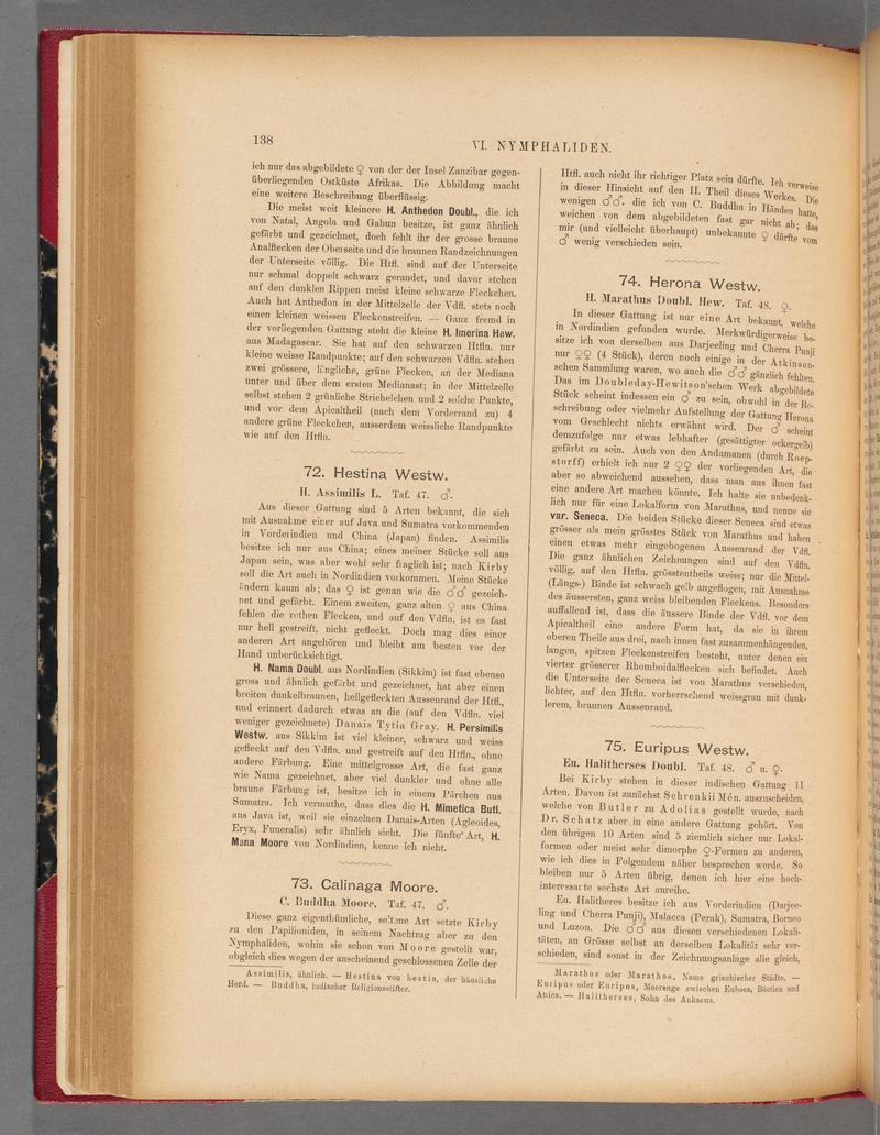 Exotische schmetterlinge (Page 138) BHL40070493