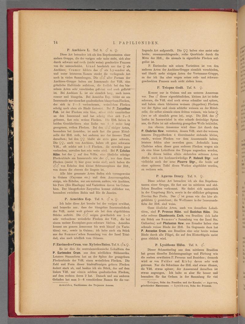 Exotische schmetterlinge (Page 14) BHL40070369