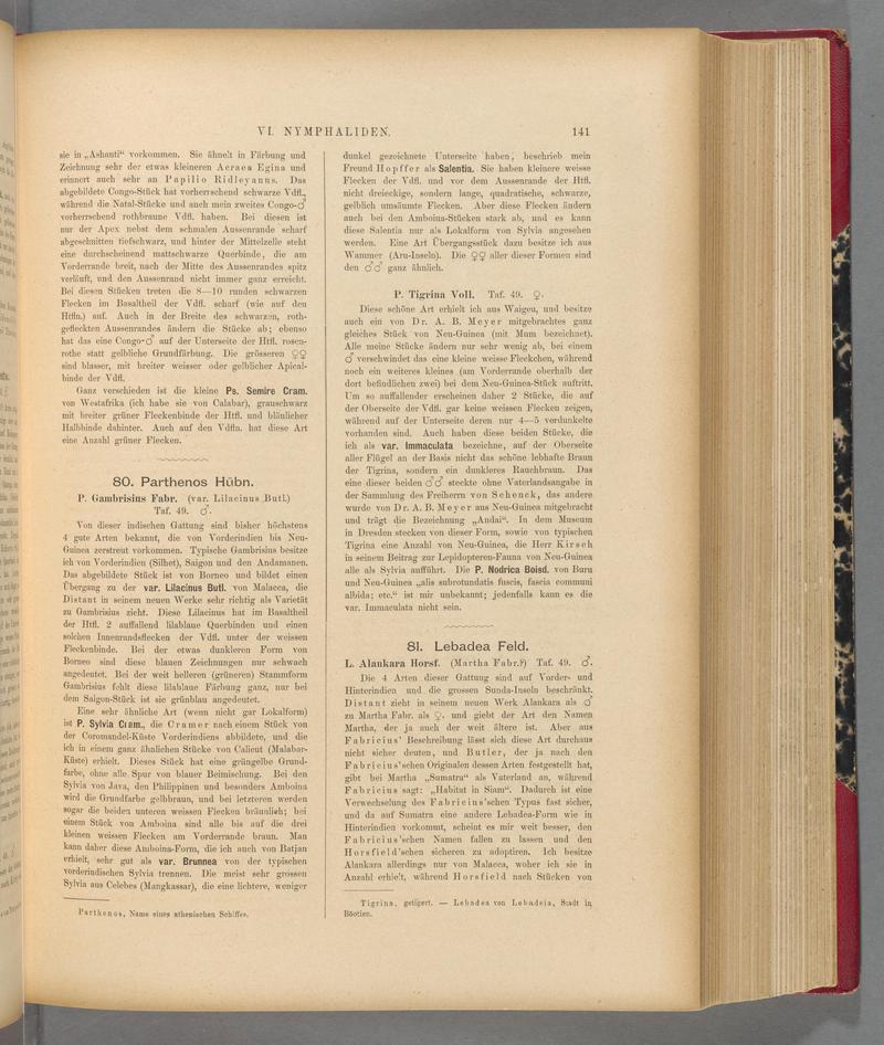 Exotische schmetterlinge (Page 141) BHL40070496