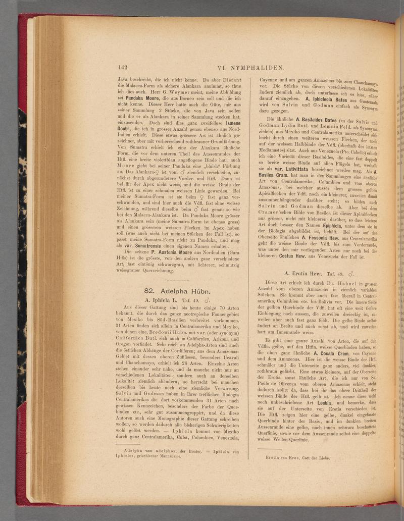 Exotische schmetterlinge (Page 142) BHL40070497
