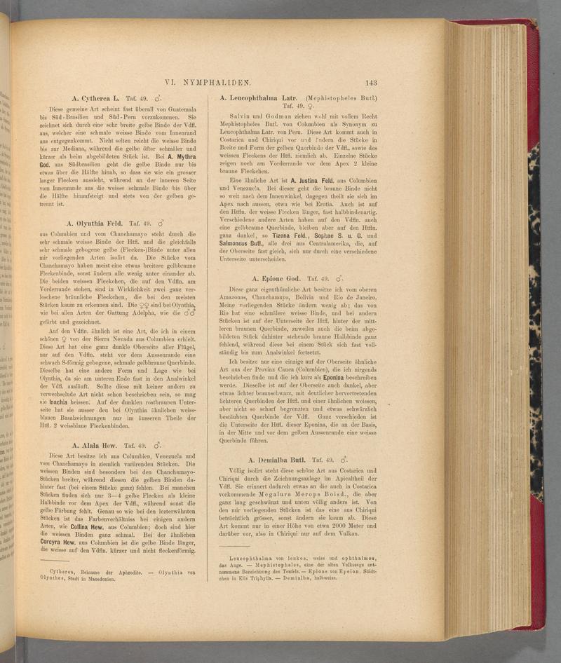 Exotische schmetterlinge (Page 143) BHL40070498