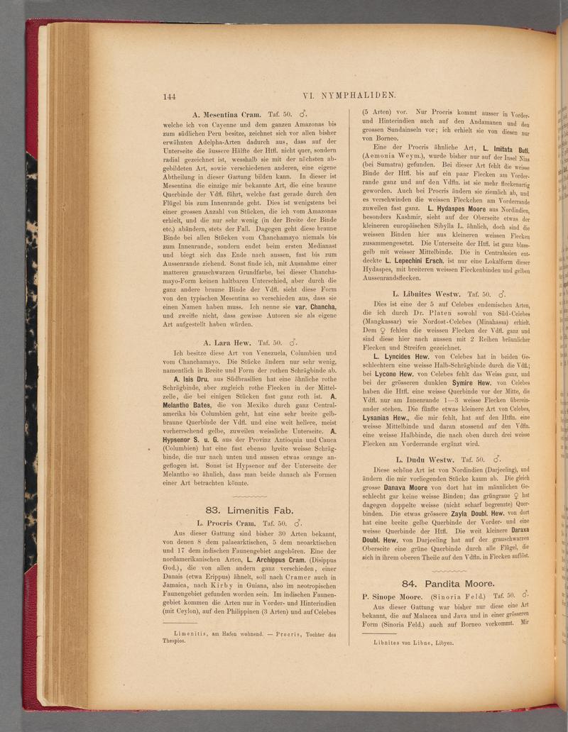 Exotische schmetterlinge (Page 144) BHL40070499