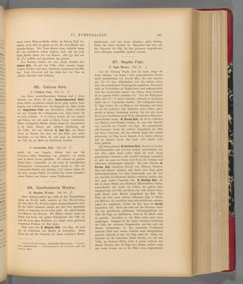Exotische schmetterlinge (Page 145) BHL40070500