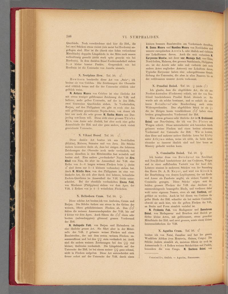 Exotische schmetterlinge (Page 146) BHL40070501