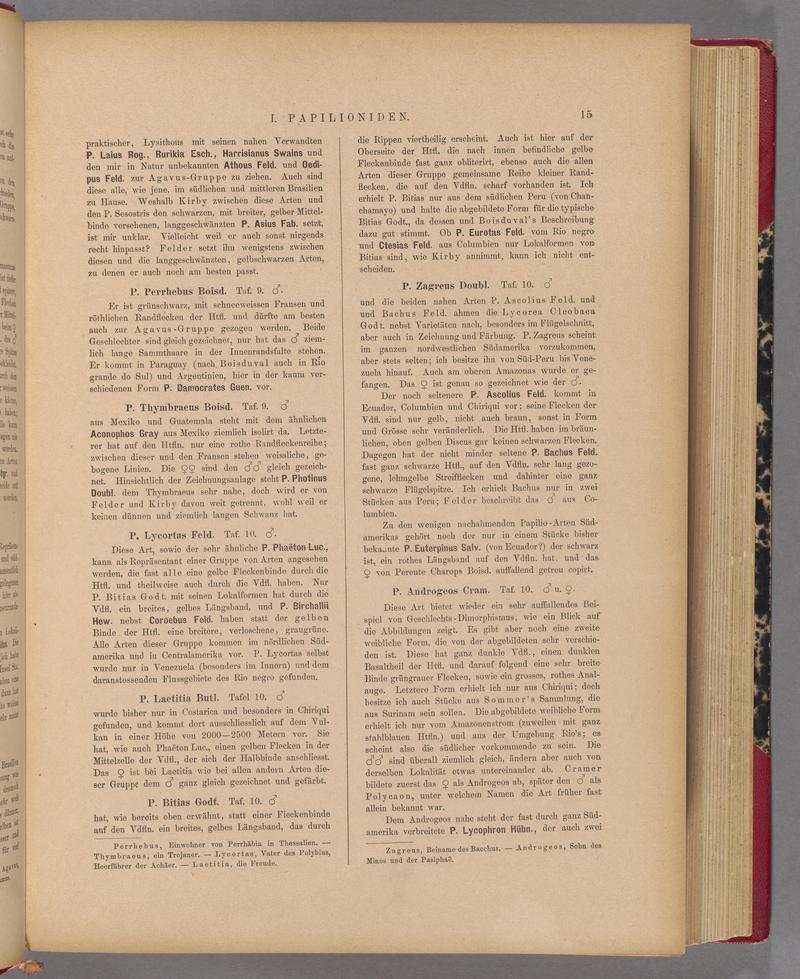 Exotische schmetterlinge (Page 15) BHL40070370