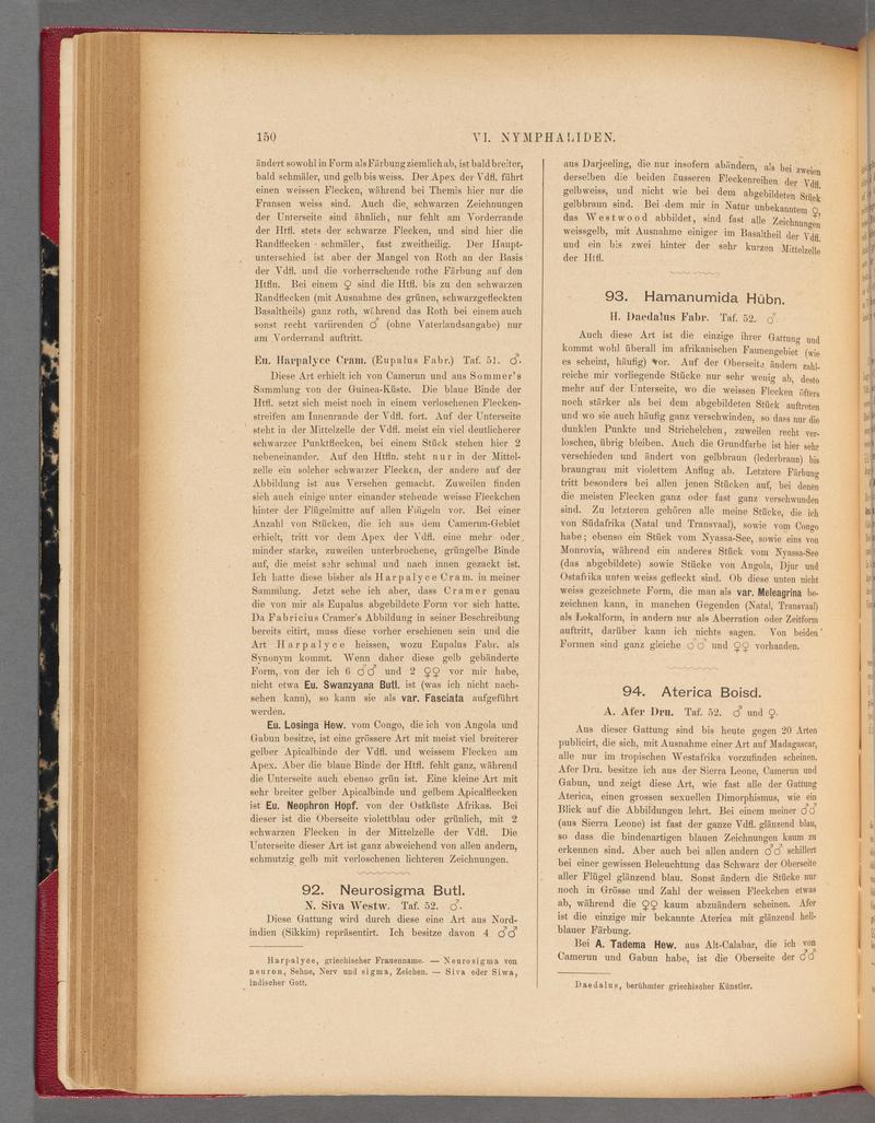 Exotische schmetterlinge (Page 150) BHL40070505