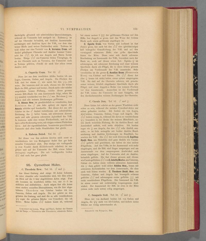 Exotische schmetterlinge (Page 151) BHL40070506