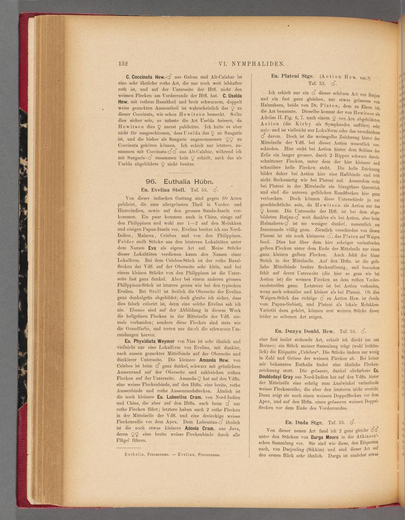 Exotische schmetterlinge (Page 152) BHL40070507