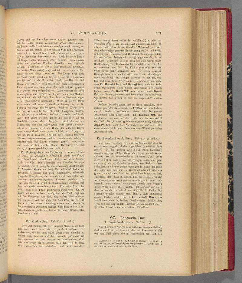 Exotische schmetterlinge (Page 153) BHL40070508