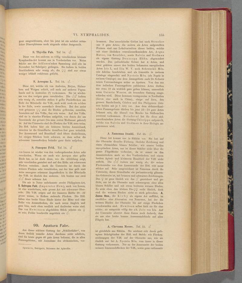 Exotische schmetterlinge (Page 155) BHL40070510
