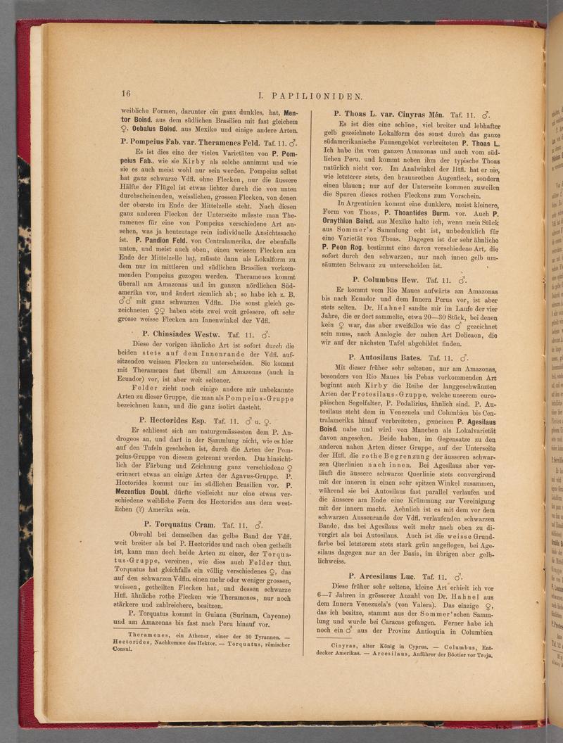 Exotische schmetterlinge (Page 16) BHL40070371
