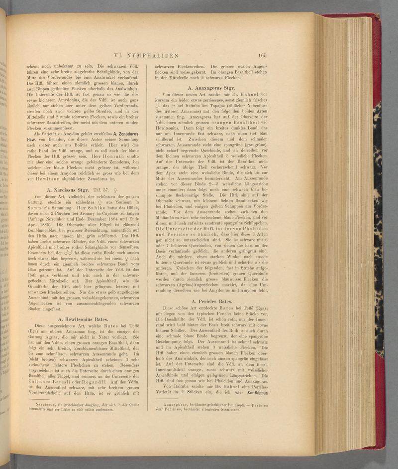 Exotische schmetterlinge (Page 165) BHL40070520