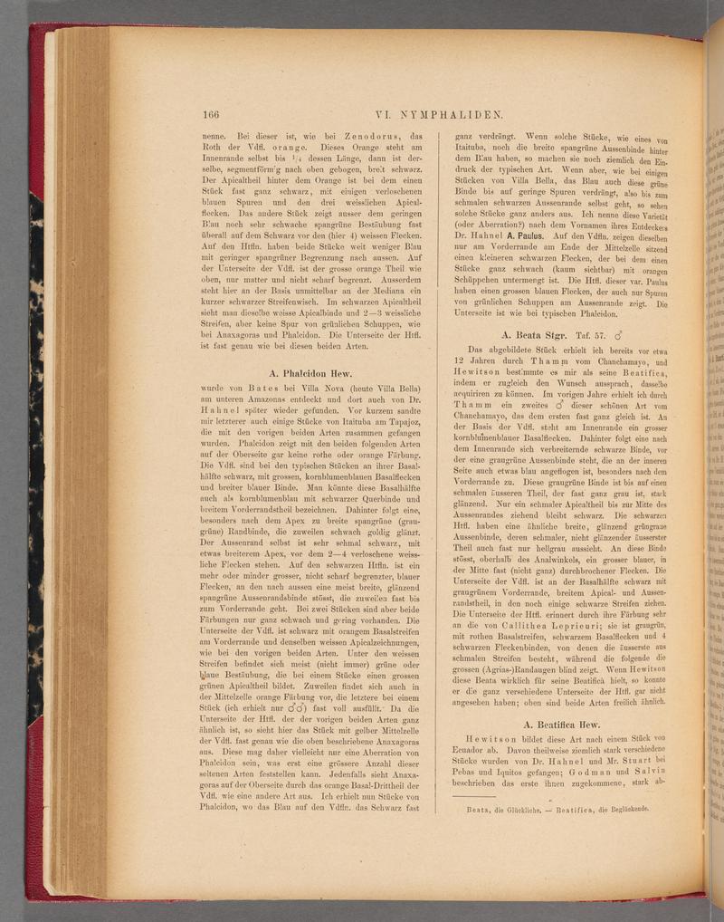 Exotische schmetterlinge (Page 166) BHL40070521